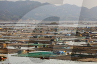 Floating village Dong An