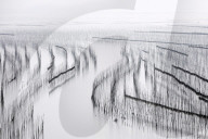 Shajiang S Bay with endless rows of bamboo sticks to dry seeweed and kelp