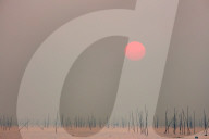 Xishan bay and beach at sunrise bamboo sticks in the water