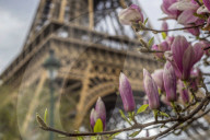 Eiffel tower