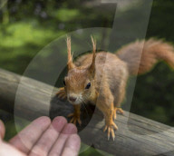Wildlife park