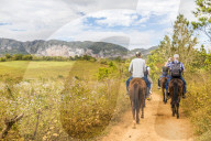 Tourists on a horse tour in Vinales National Park, a UNESCO world heritage site, in Vinales Valley, Vinales in Cuba.