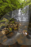 Scala Falls waterfall near Hebden, Wharfedale, Yorkshire Dales National Park, North Yorkshire, England, U.K.