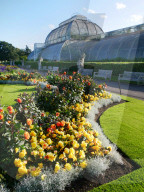 Kew Gardens Palm House