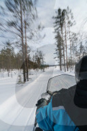 Senior woman traveler on snowmobile, speeding through the blurred trees,Torassieppi, Lapland, Northern Finland
