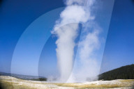 Yellow Stone National park, Old Faithful blowing