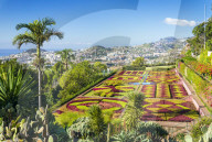 Formal garden in Madeira Botanical gardens, Jardim Botanico, above the capital city of funchal, Madeira, Portugal, EU, Europe