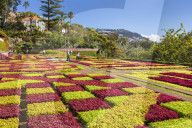 Formal garden in Madeira Botanical gardens, Jardim Botanico, above the capital city of funchal, Madeira, Portugal, EU, Europe