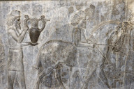 A bas-relief depicting Armenians bringing their famous wine to the king. The monumental stairs of the Apadana.Persepolis. Iran.