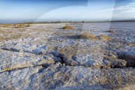 Mahrejan salt lake. Yazd area. Iran.