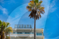 NEWS - Coronavirus: Touristen warten auf Einlass vor dem Bierkönig in Palma de Mallorca