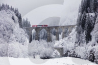 Europe, France, Rhone Alps, Haute Savoie, Chamonix, Mont Blanc Express train going over a viaduct