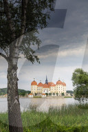 Europe, Germany, Saxony, Moritzburg castle