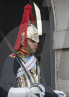 Mounted Guardsman in Whitehall, London, England, UK
