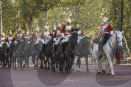 Mounted Guardsman in the Mall, London, England, UK