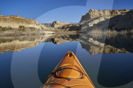 Bluff and stand of bushes reflected in Lake Powell from a kayak, Glen Canyon National Recreation Area, Utah, USA