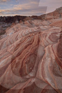Sandstone forms at dawn, Valley Of Fire State Park, Nevada, USA