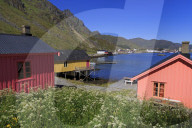 Fishing huts (Rorbuer), Ballstad Fishing Village, Lofoten Islands, Nordland County, Norway