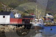 Fish factory, Ballstad Fishing Village, Lofoten Islands, Nordland County, Norway
