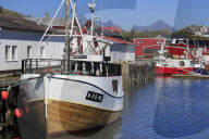 Fish factory, Ballstad Fishing Village, Lofoten Islands, Nordland County, Norway