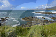 Ballydonegan Bay, Ring of Beara, Beara Peninsular, Wild Atlantic Way, County Cork, Republic of Ireland, Eire, Europe