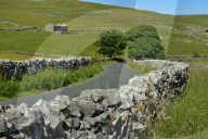 Stone walls lining country road, Ribblesdale Yorkshire Dales National Park, North Yorkshire, England, United Kingdom, Europe