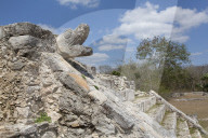 Serpent Head, Temple of Warriors, Mayan Ruins, Mayapan Archaeological Site, Yucatan, Mexico