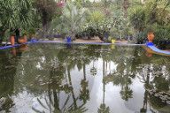 Jardin Majorelle, Gardens, restored by fashion designer Yves Saint Laurent, Marrakesh, Marrakech, Morocco, North Africa