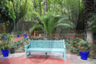Jardin Majorelle, Gardens, restored by fashion designer Yves Saint Laurent, Marrakesh, Marrakech, Morocco, North Africa