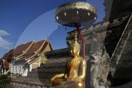 Wat Chedi Luang, Chiang Mai. Thailand.
