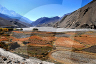 Terraced barley fields near Kagbeni, Mustang. Nepal.