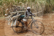 Wood transportation on a bicycle. Uganda