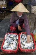Morning market in Duong Dong town. Woman selling fresh fish. Phu Quoc. Vietnam.