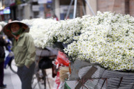 Vendor selling flowers from her mobile bicycle shop. Hanoi. Vietnam.