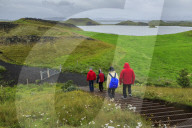 Tourists hiking in rain to the Skutustadagigar pseudo craters, wild flowers, Lake Myvatn, Akureyri, Iceland