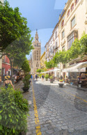 The iconic Giralda bell tower seen from the shopping street Calle Mateos Gago, Seville, Andalusia, Spain