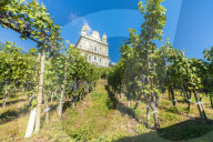 Sanctuary Santa Casa di Loreto surrounded by vineyards, Tresivio, Sondrio province, Valtellina, Lombardy, Italy