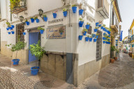 Hanging flowerpots on walls of typical tavern in the old alley of Calleja De Las Flores, Cordoba, Andalusia, Spain