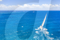 Sailing boats in the blue sea during a competition, Antigua, Caribbean, West Indies, Leeward Islands (drone)