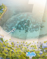 Panoramic of palm-fringed beach of luxury resort washed by Caribbean Sea from above, Morris Bay, Old Road, Antigua, West Indies
