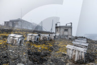 Polar huskies boxes in the historical meteorological station Sedov in Tikhaya bay on Hooker island, Franz Josef Land archipelago, Russia