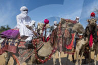 Colourful camel riders at a Trribal festival, Sahel, Chad, Africa