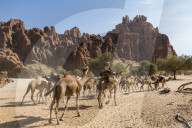 Camel caravan, Guelta d'Archei waterhole, Unesco sight Ennedi plateau, Chad, Africa