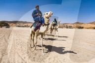 Tuaregs riding on their camels, near Tamanrasset, Algeria