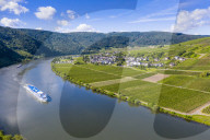 River cruise ship on the Moselle at Mehring, Moselle valley, Germany