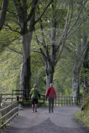 People walking on the forest trails around Mount Floyen in Bergen,Norway
