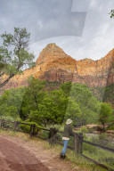 Enjoying the view in Zion National Park