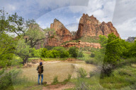 Court of the Patriarchs Zion National Park, Utah, USA, North America