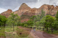 Enjoying the view in Zion National Park