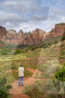 Temples and Towers of the Virgin Zion National Park, Utah, USA, North America
